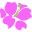 Avasflowers